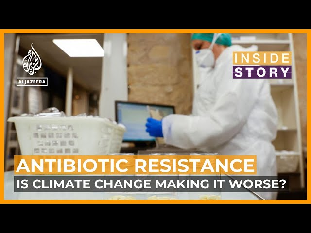 Why is antibiotic resistance worsening with climate change?